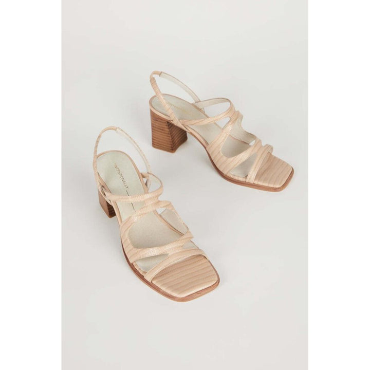 Intentionally Blank If Heeled Sandals in Ojai - Size 8