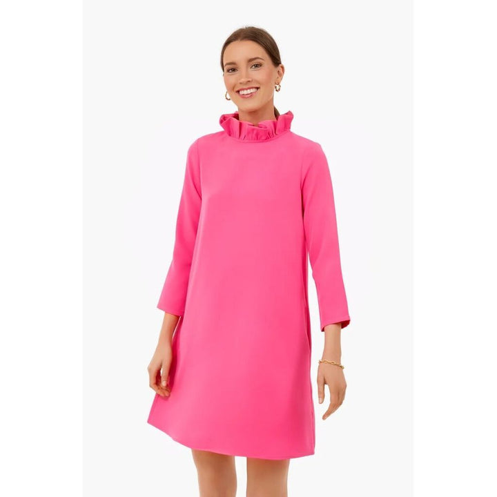 Tuckernuck NWT Daphne Mini Dress in Hot Pink - Size XS
