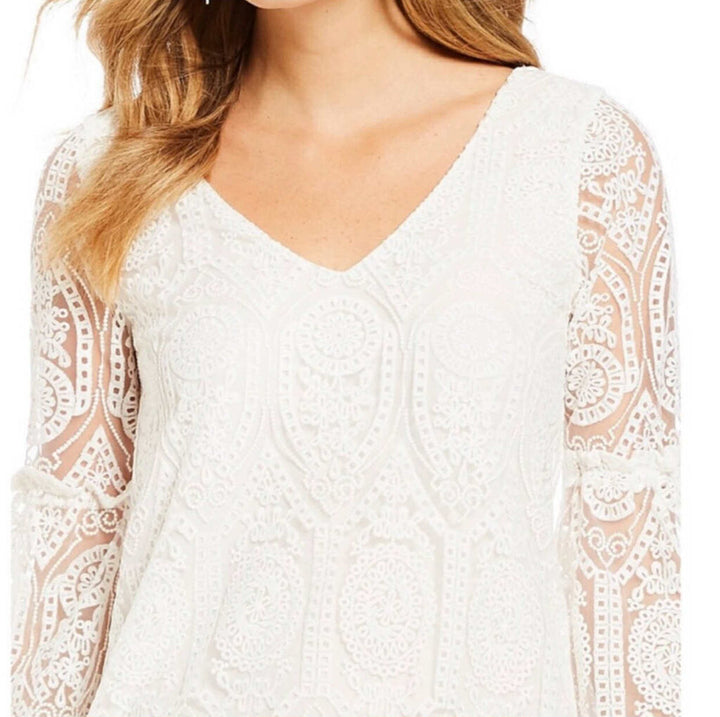 Cupcakes & Cashmere Davi Embroidered Lace Dress - Size Small