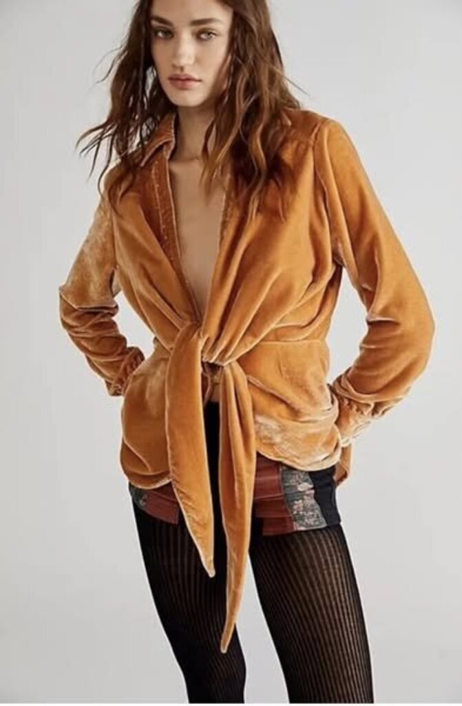 Free People Worlds Apart Velvet Top - Size XS