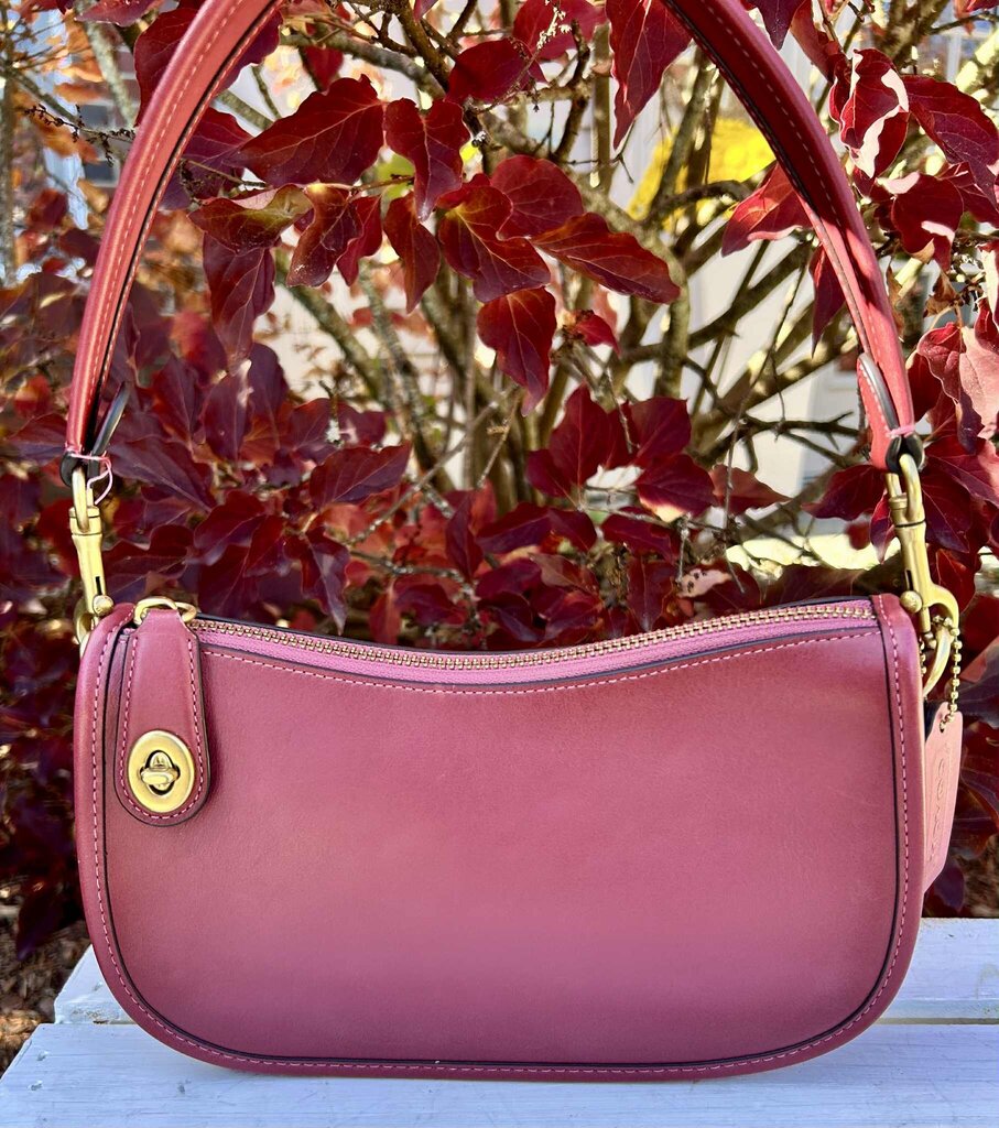 Coach Swinger 20 in Glovetanned Leather (Retails for $200)