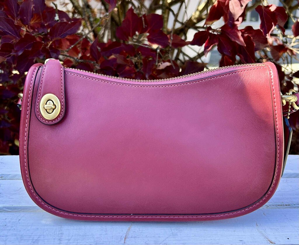 Coach Swinger 20 in Glovetanned Leather (Retails for $200)