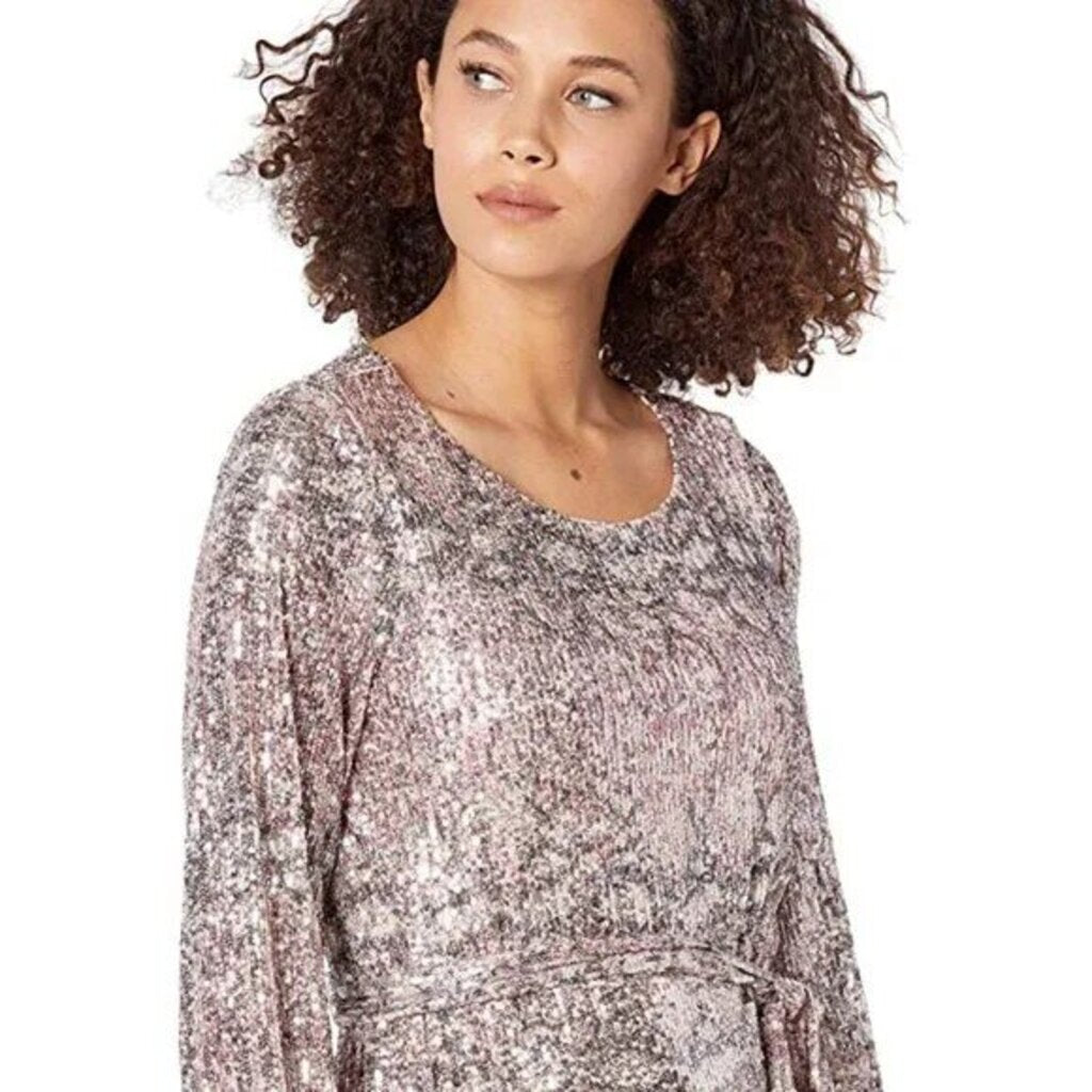 Cupcakes & Cashmere NWT Sequin Ginger Dress - Size Medium