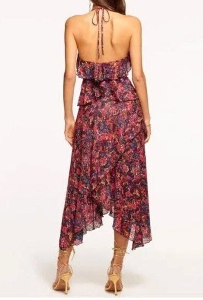 Ramy Brook Everlee Floral-Print Ruffle Midi Dress - Size 4(Retails $598)