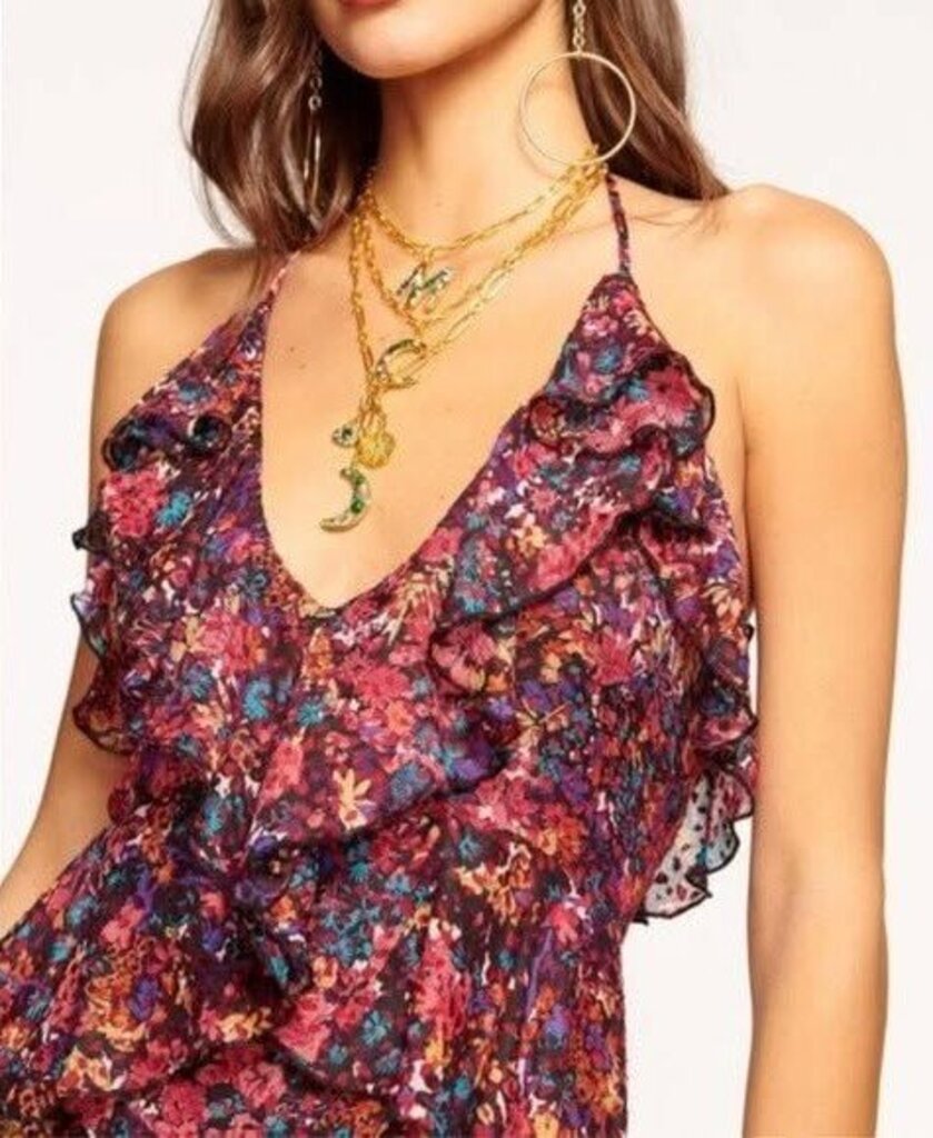 Ramy Brook Everlee Floral-Print Ruffle Midi Dress - Size 4(Retails $598)