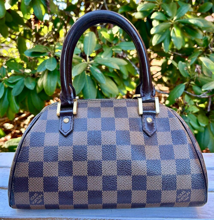 Louis Vuitton Damier Ebene Ribera PM