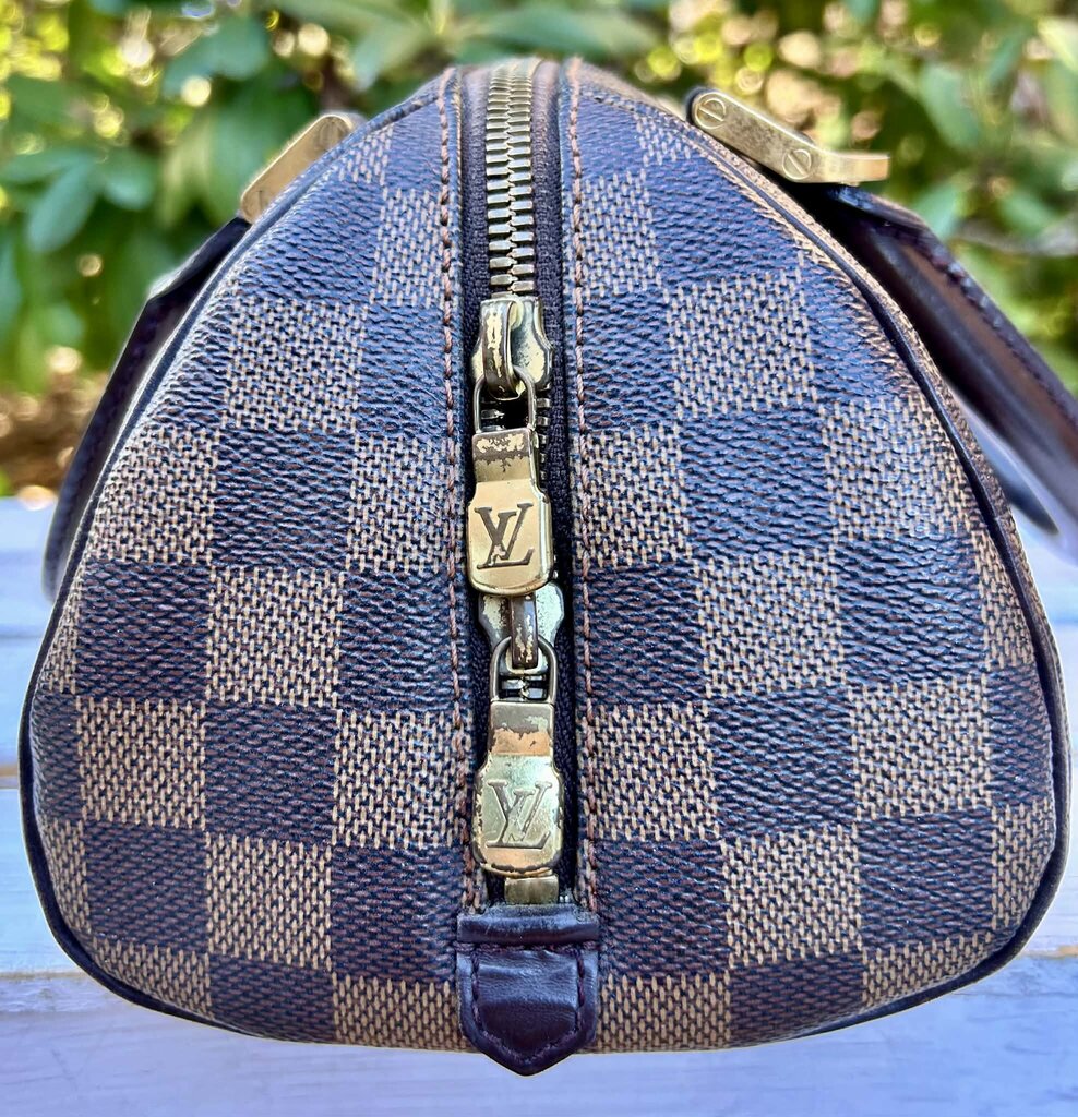 Louis Vuitton Damier Ebene Ribera PM