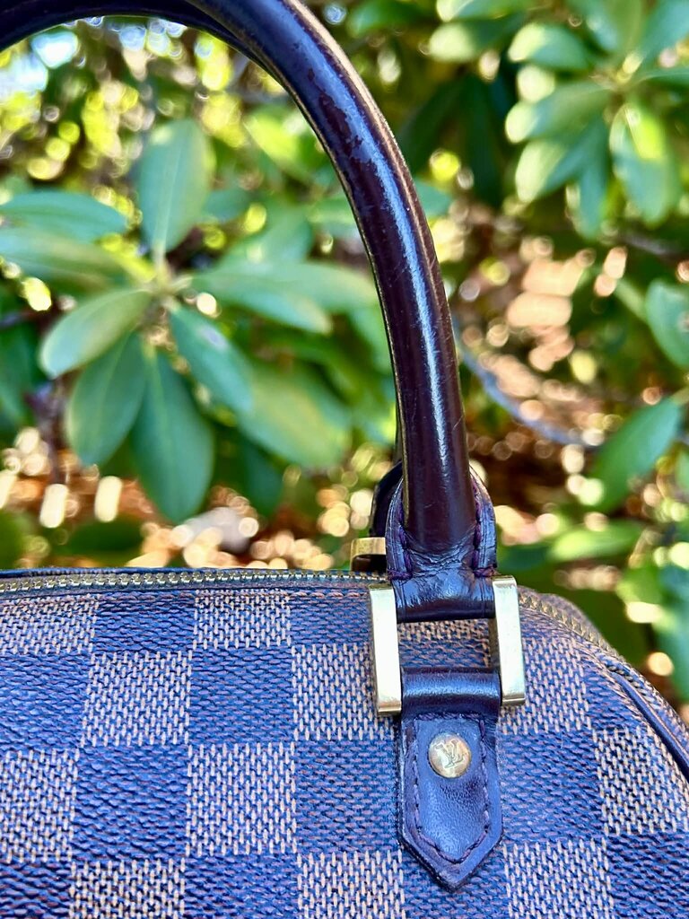 Louis Vuitton Damier Ebene Ribera PM