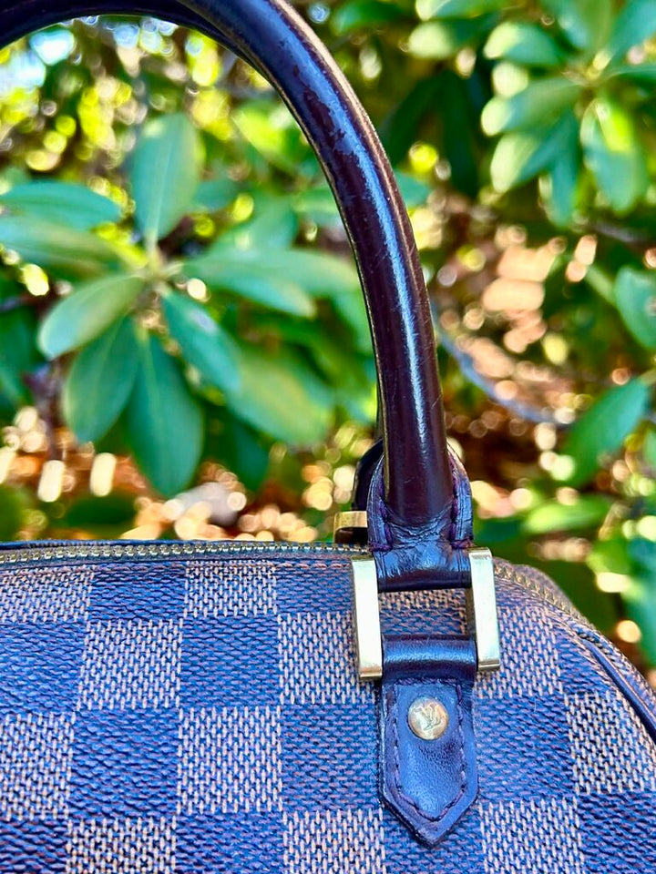 Louis Vuitton Damier Ebene Ribera PM