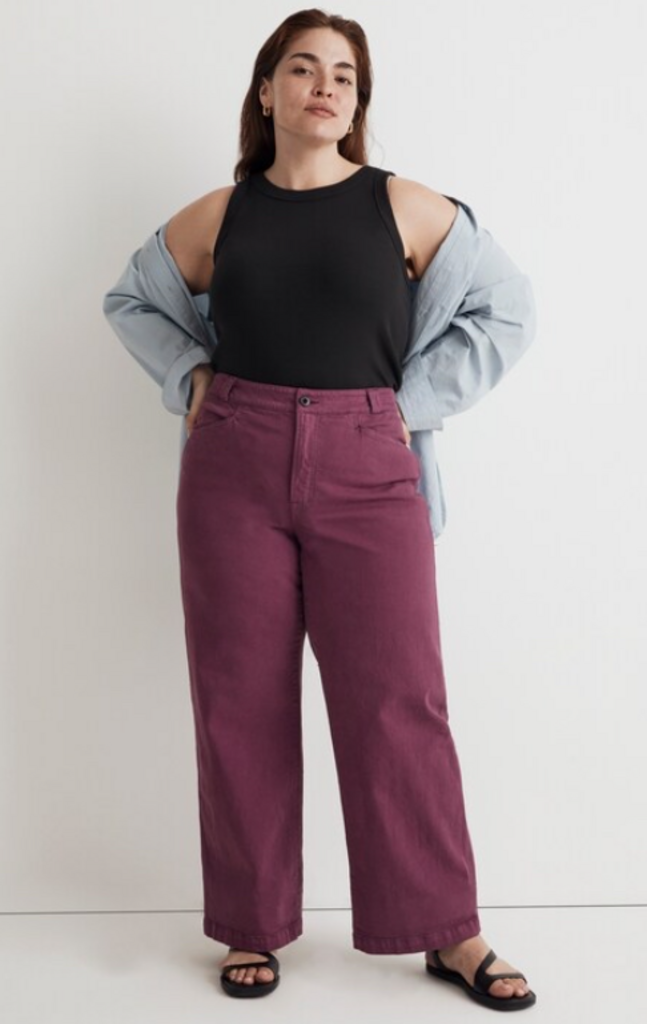 Madewell Emmett Wide-Leg Pants in Iris Bloom - Size 26P (Retails For $98)