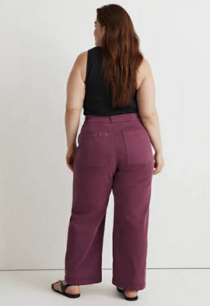 Madewell Emmett Wide-Leg Pants in Iris Bloom - Size 26P (Retails For $98)