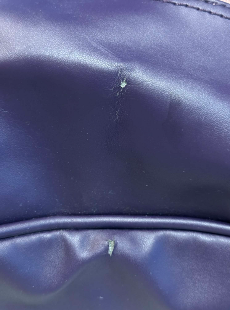 Lululemon Sweat Once A Day Bag