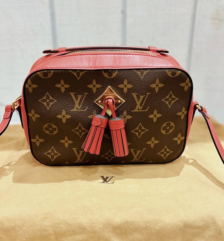 Louis Vuitton Monogram Saintonge