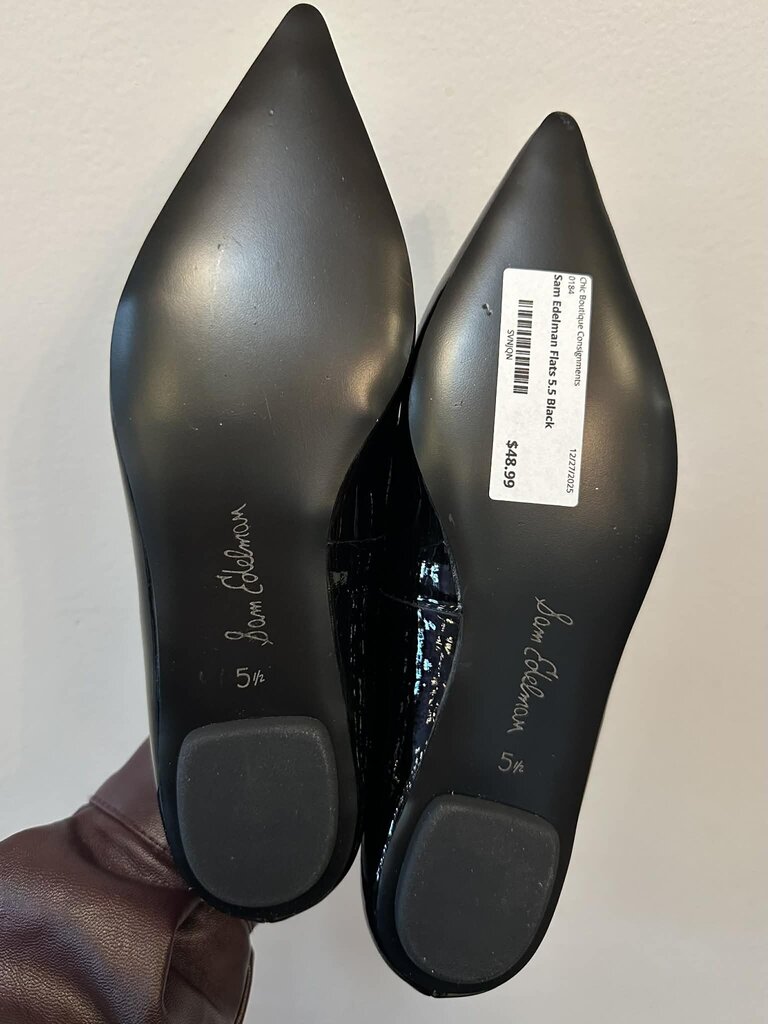 Sam Edelman Nori Pointed Toe Flats - Size 5.5 (retails for $100)
