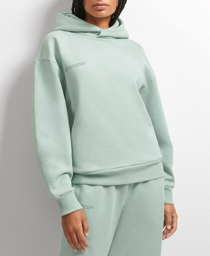 Pangaia DNA Heavyweight Hoodie in Eucalyptus Blue - Size XXS (Retails for $275)