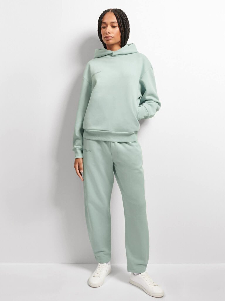 Pangaia DNA Heavyweight Hoodie in Eucalyptus Blue - Size XXS (Retails for $275)