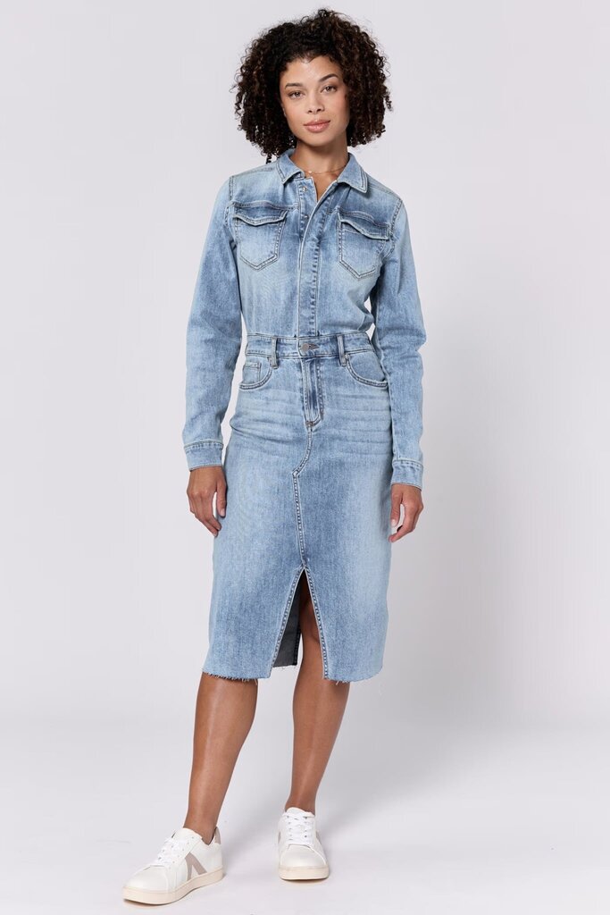 Dear John Lulu Denim Dress - Size XS/S(Retails $119)
