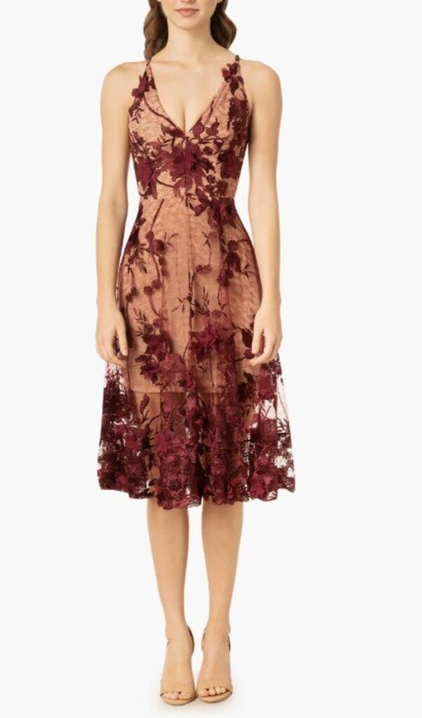 Dress The Population NWT Audrey Embroidered Fit & Flare Dress - Size XS (Retails for $298)