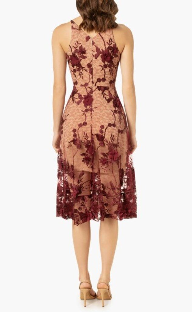 Dress The Population NWT Audrey Embroidered Fit & Flare Dress - Size XS (Retails for $298)