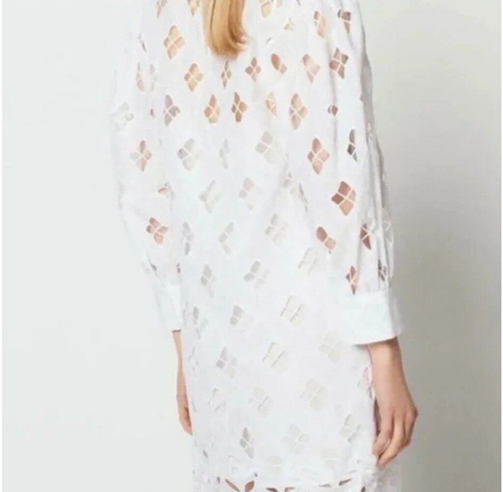 Sandro Houle Embroidered White Eyelet Dress - Size 38