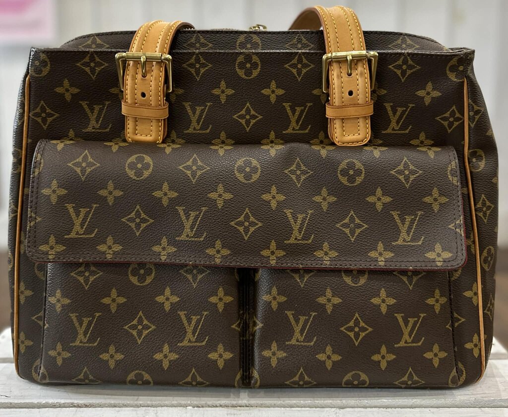 Louis Vuitton Monogram Multipli Cite