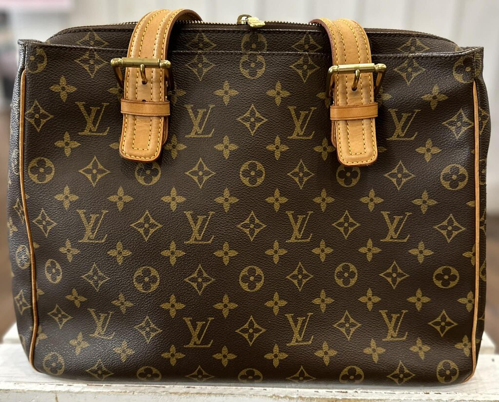 Louis Vuitton Monogram Multipli Cite