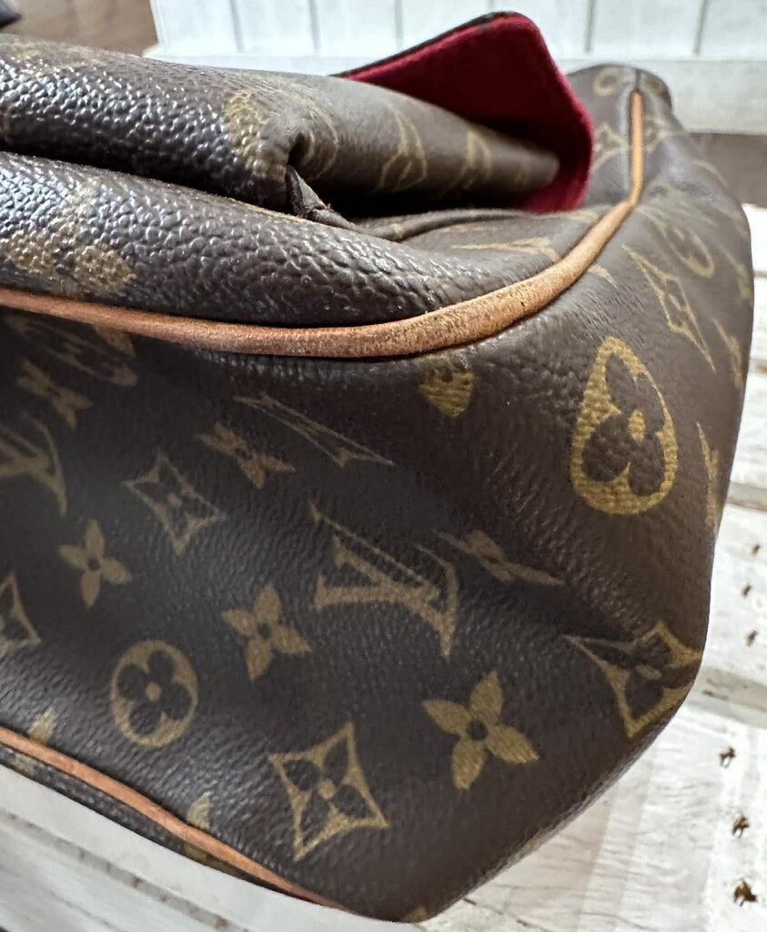 Louis Vuitton Monogram Multipli Cite