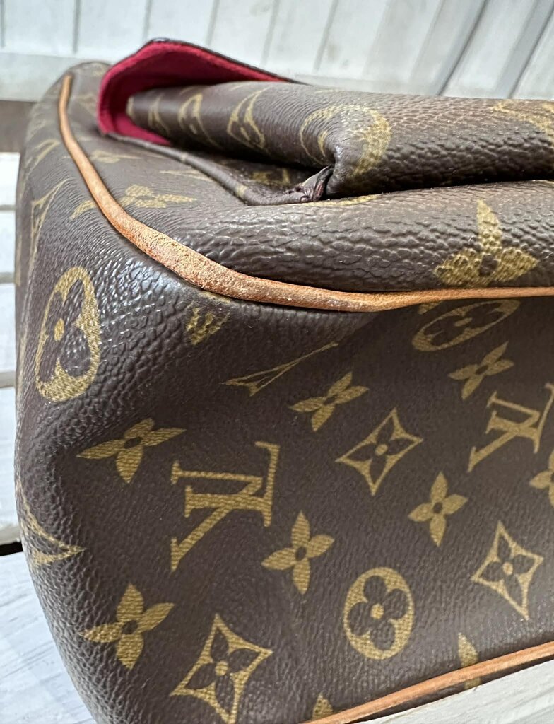 Louis Vuitton Monogram Multipli Cite