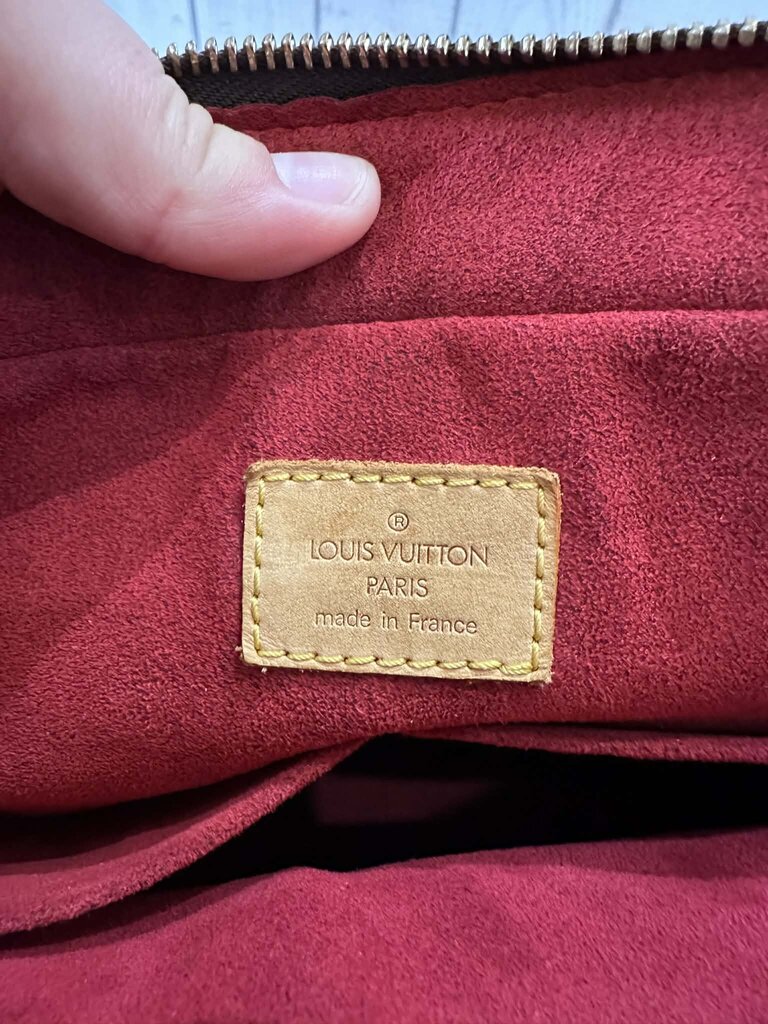 Louis Vuitton Monogram Multipli Cite
