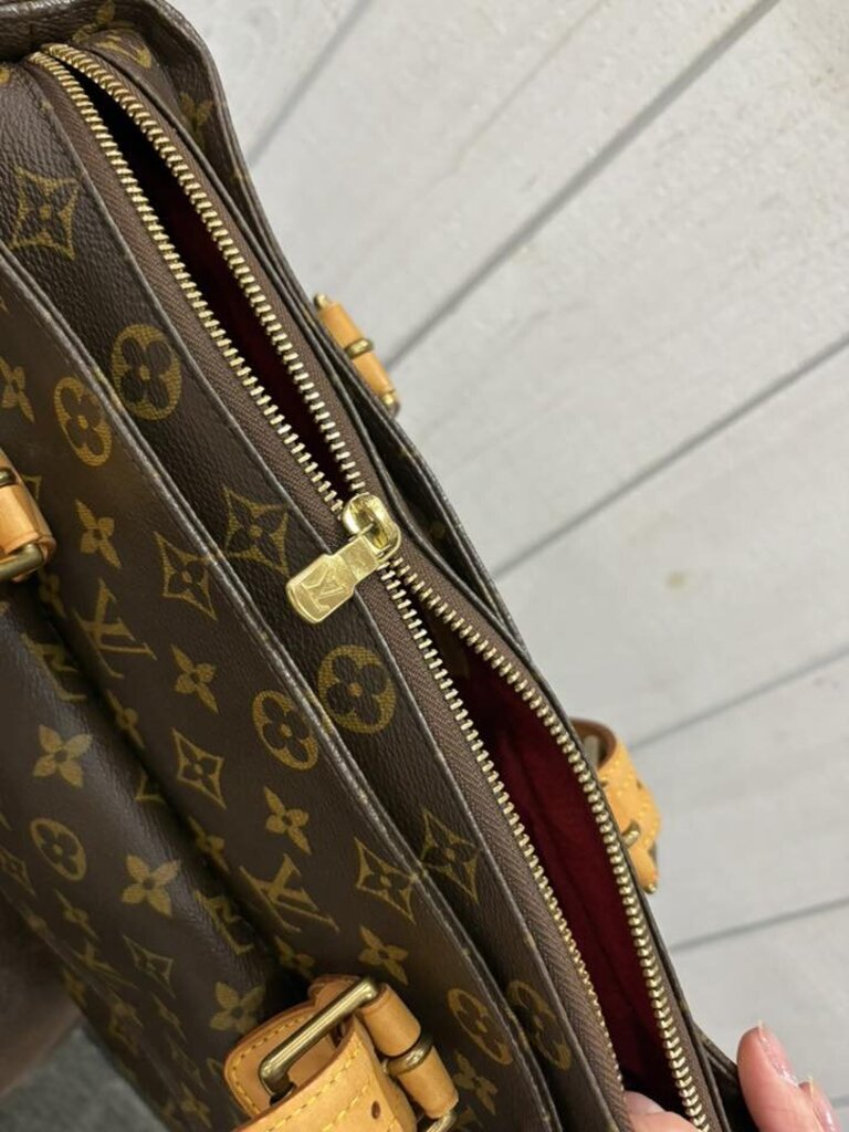 Louis Vuitton Monogram Multipli Cite
