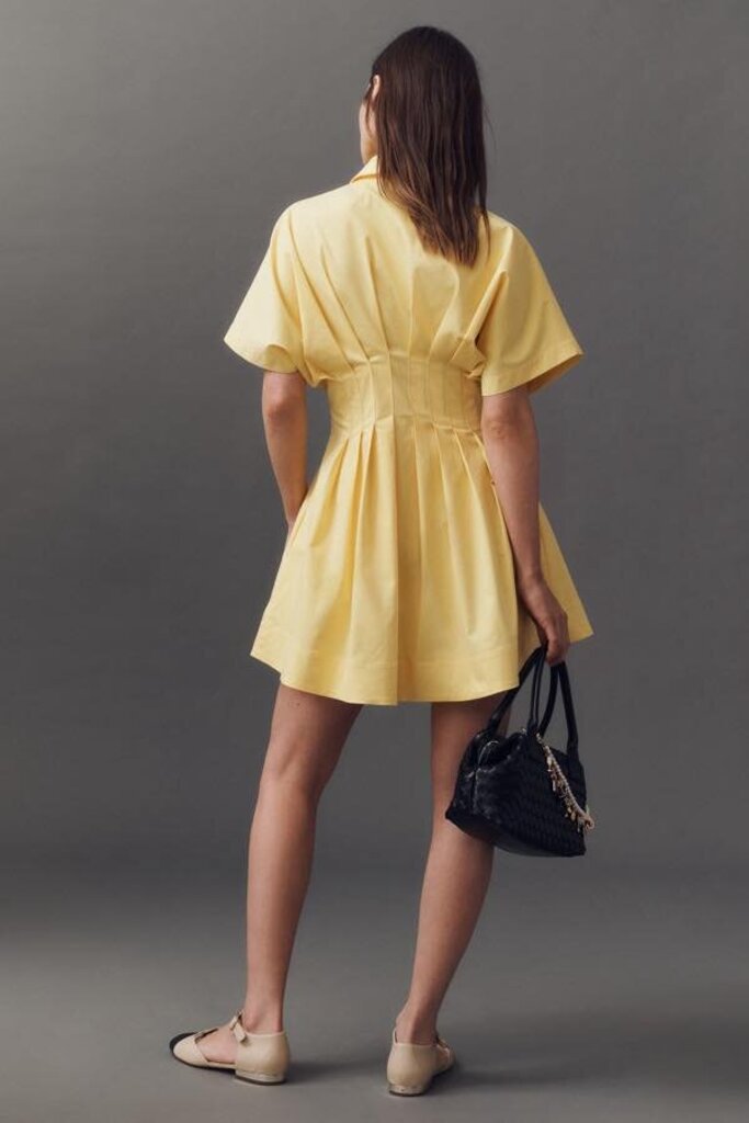 Exquise The Tobie Button-Front Pleated Mini Shirtdress - Size XS (Retails for $178)