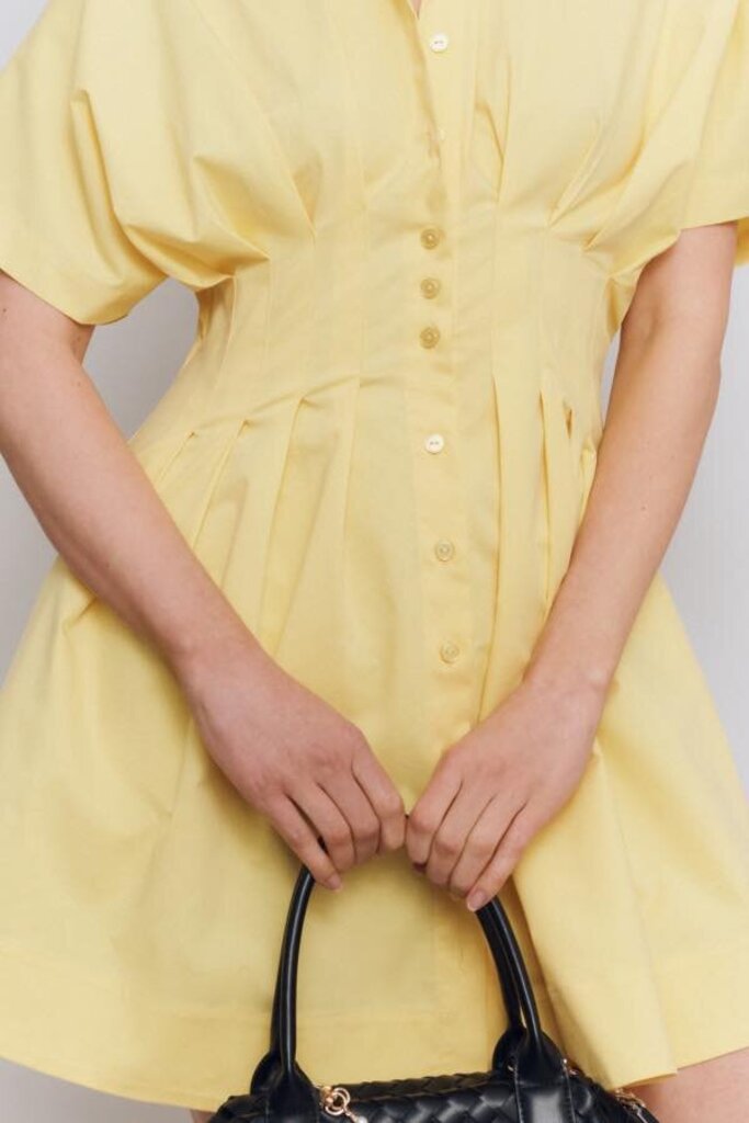 Exquise The Tobie Button-Front Pleated Mini Shirtdress - Size XS (Retails for $178)