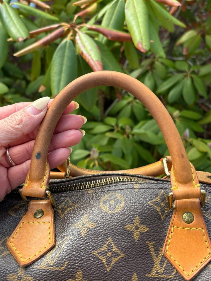 Louis Vuitton Monogram Speedy 30