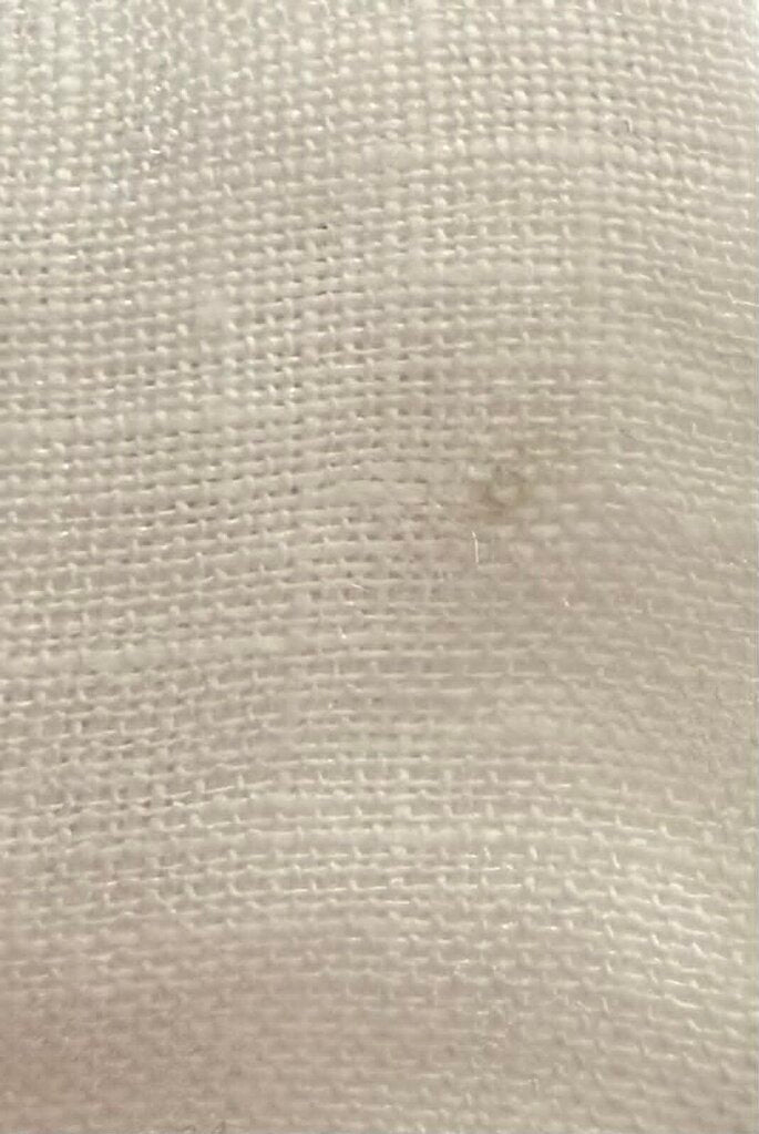 CP Shades White Peek Blouse (Retails $205) - Size Medium