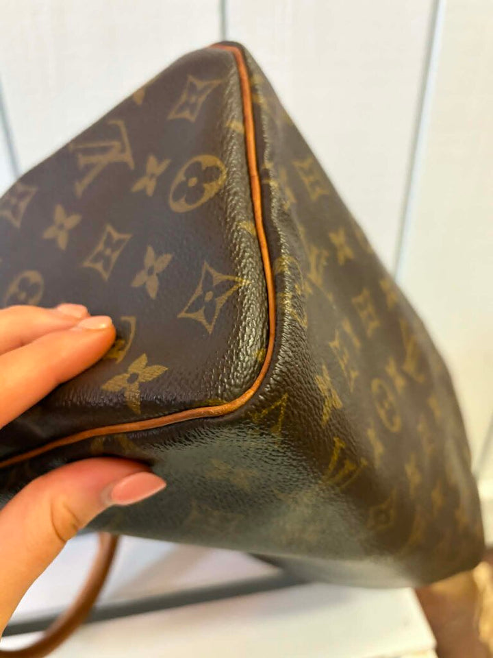 Louis Vuitton Monogram Speedy 25