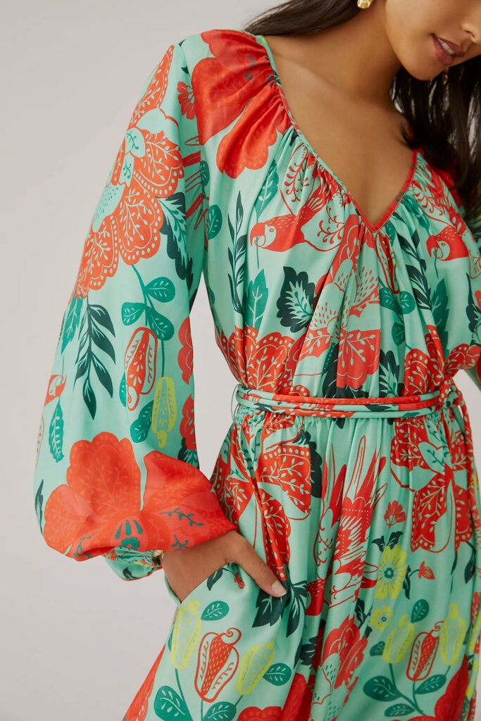Farm Rio x Anthropologie Poppy Print Maxi Dress - Size Small