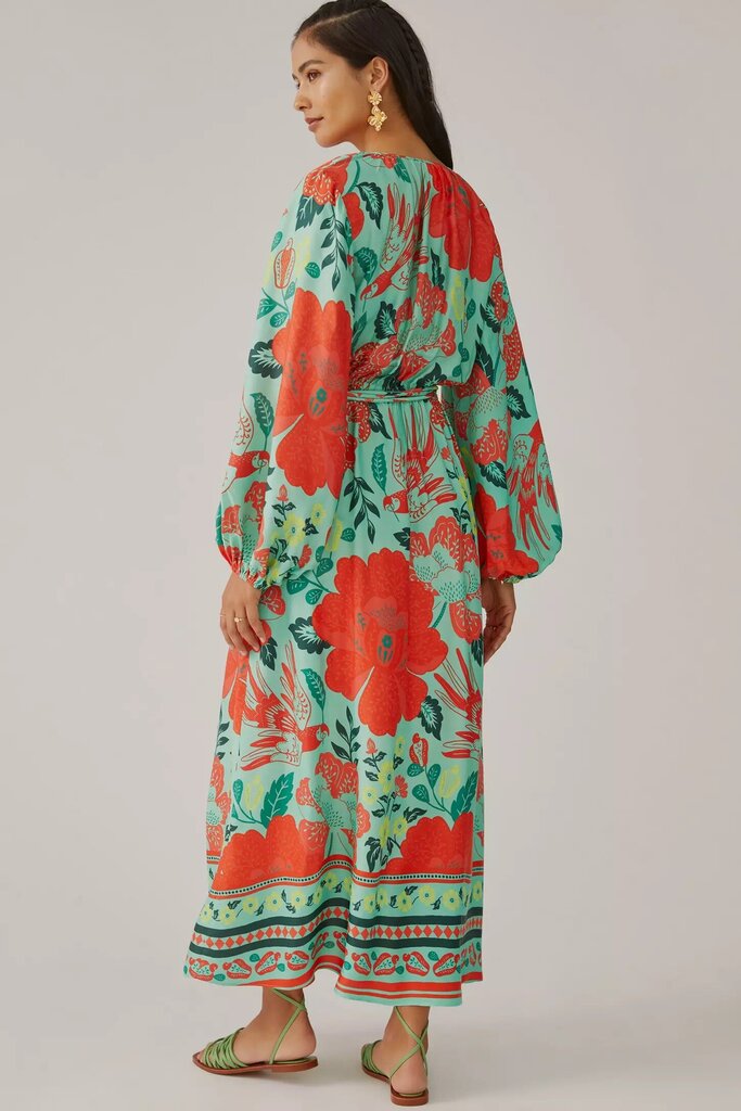 Farm Rio x Anthropologie Poppy Print Maxi Dress - Size Small