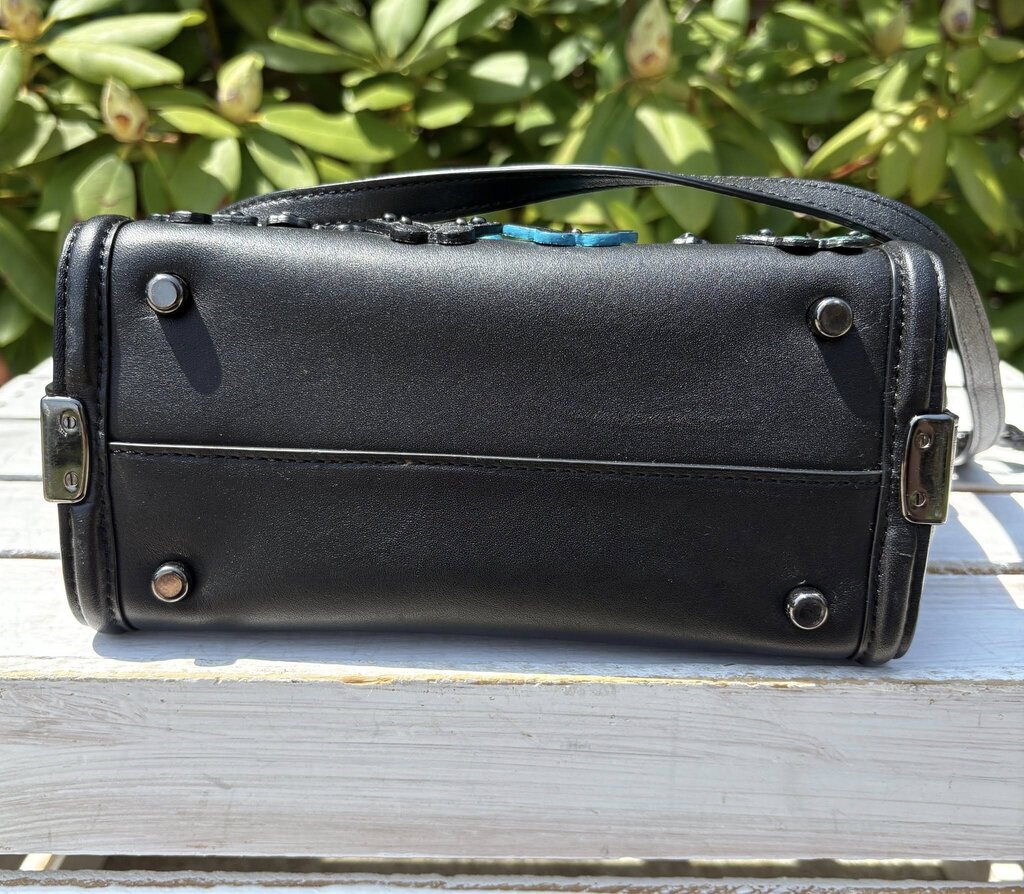 Coach Swagger Crossbody in Butterfly Applique Glovetanned Leather