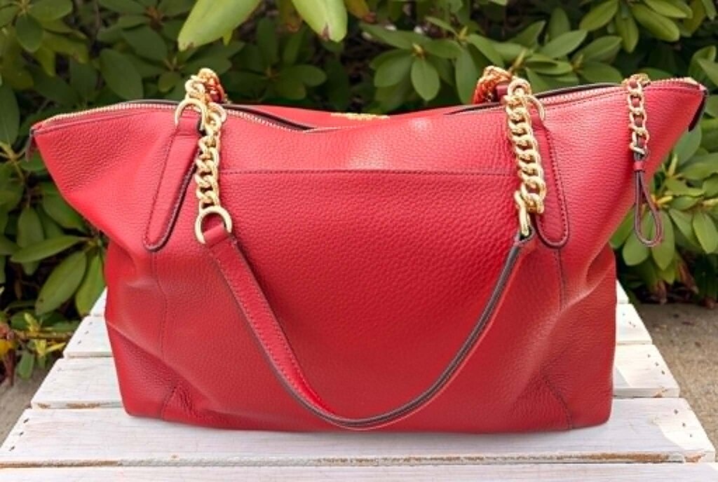 Coach Ava Chain Pebble Leather Tote (Retails for $395)