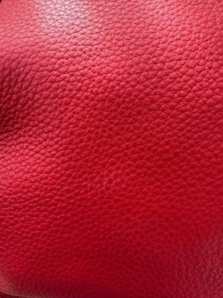 Coach Ava Chain Pebble Leather Tote (Retails for $395)