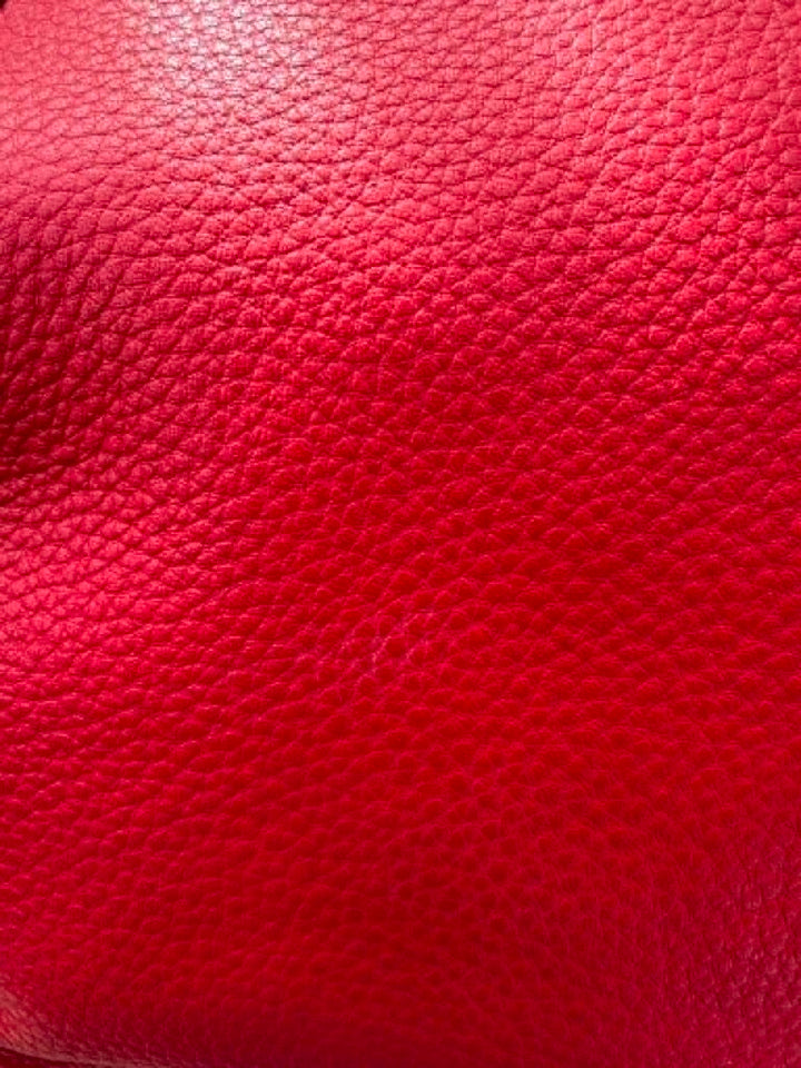 Coach Ava Chain Pebble Leather Tote (Retails for $395)