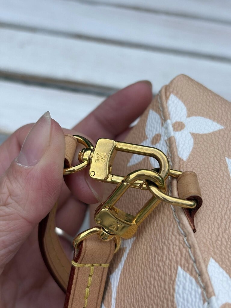 Louis Vuitton Giant Monogram By the Pool Tiny Backpack