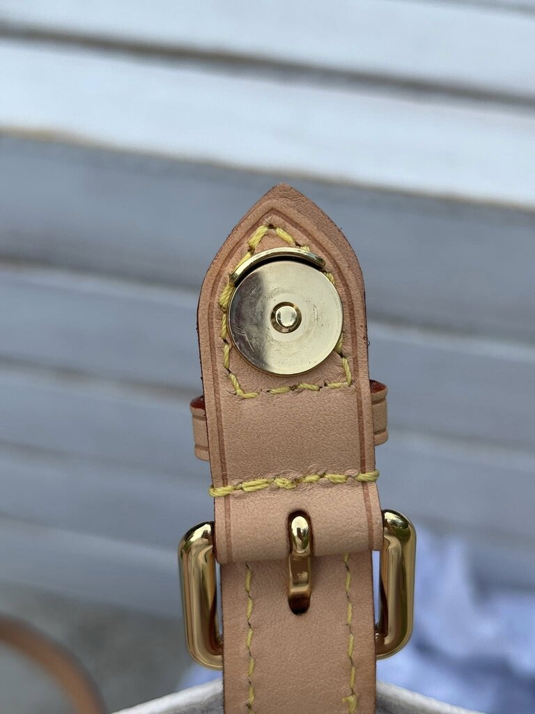 Louis Vuitton Giant Monogram By the Pool Tiny Backpack
