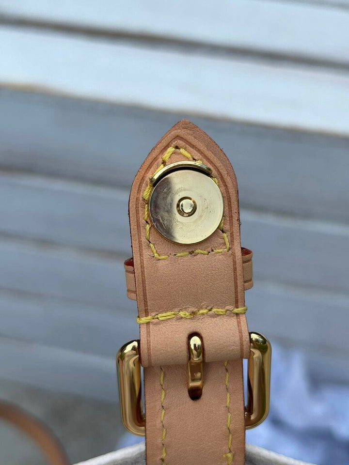 Louis Vuitton Giant Monogram By the Pool Tiny Backpack