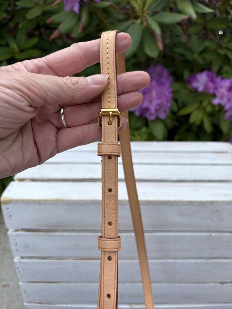 Louis Vuitton Giant Monogram By the Pool Tiny Backpack