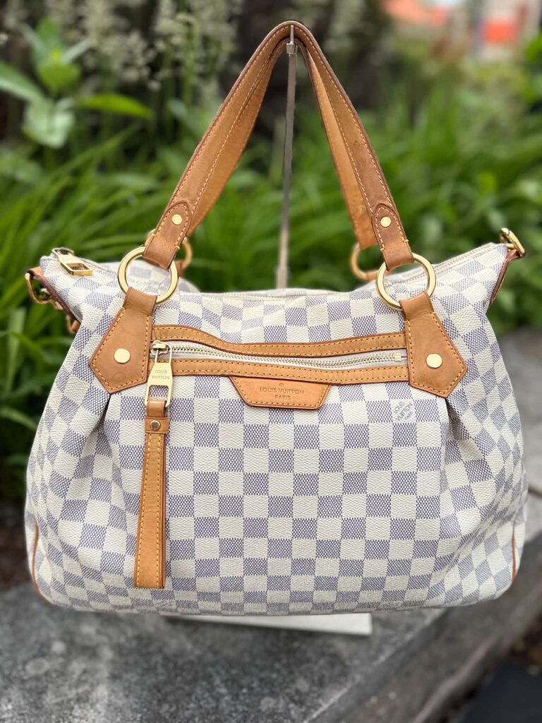Louis Vuitton Damier Azul Evora MM