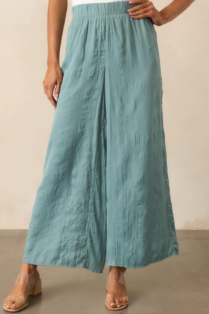 Z Supply NWT Satin Pants (Retails for $89) - Size Small