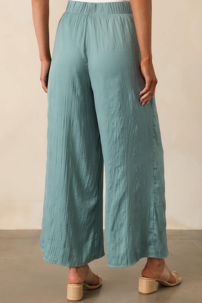 Z Supply NWT Satin Pants (Retails for $89) - Size Small