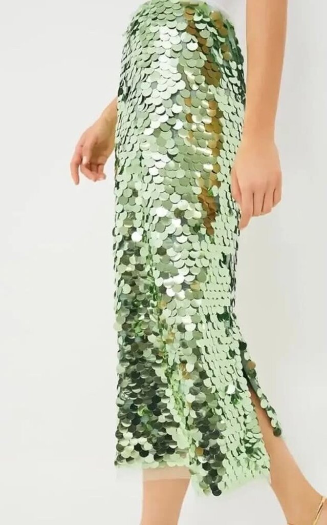 Tuckernuck NWT Mint Chip Remmi Midi Skirt - Size Large