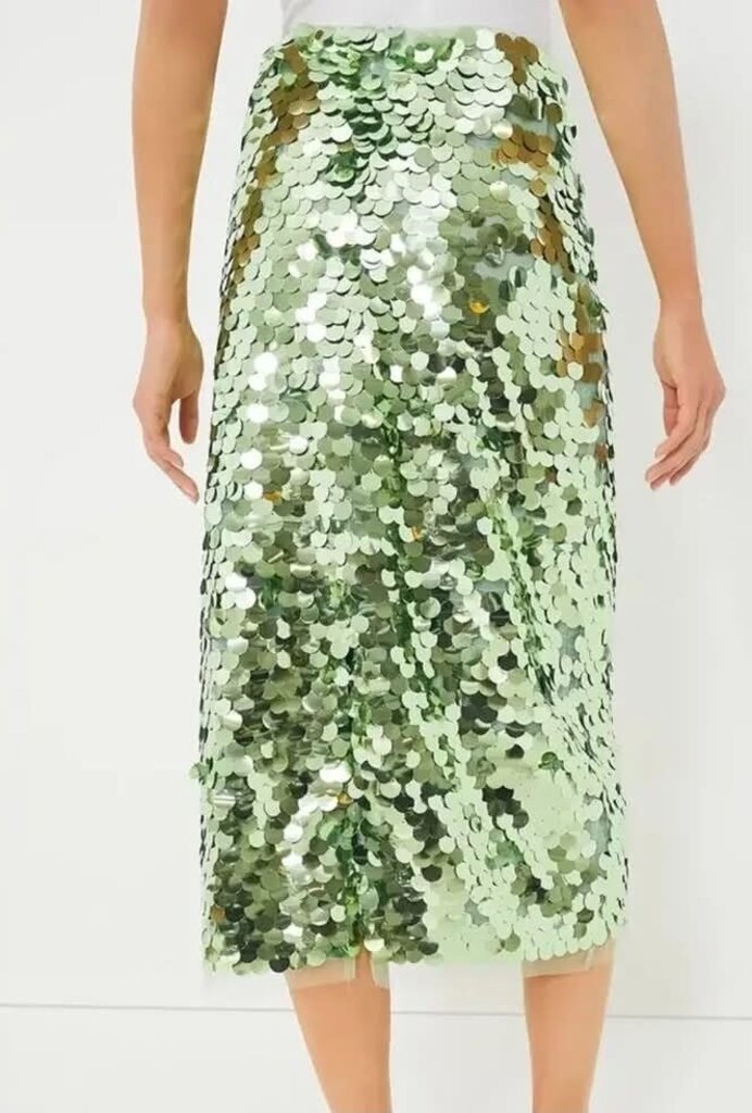 Tuckernuck NWT Mint Chip Remmi Midi Skirt - Size Large
